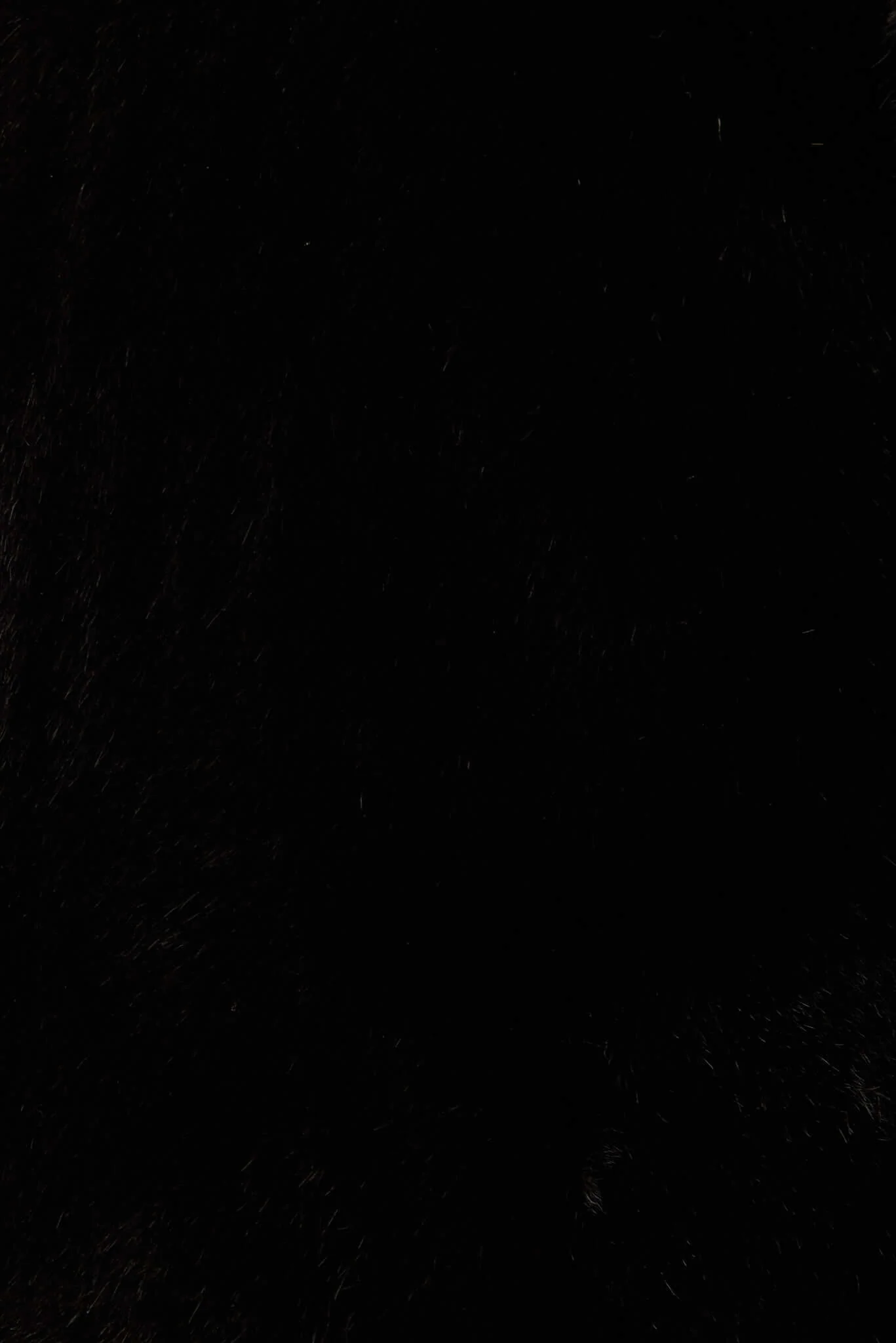 Cher Faux Fur Jacket In Black - Image 14