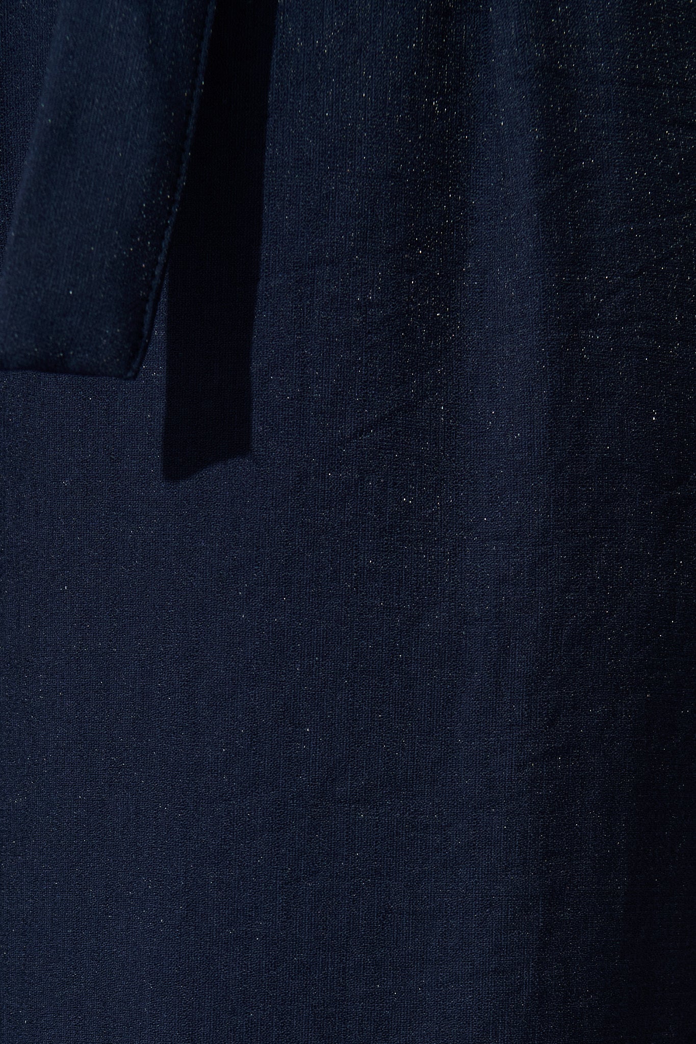 City Spotlight Pant in Navy - Image 6