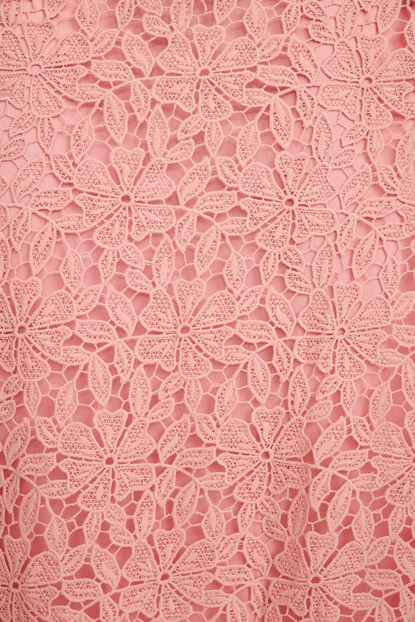 Something Special Maxi Lace Dress in Blush - Image 14